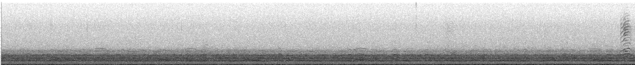 Tundra Swan - ML404177671