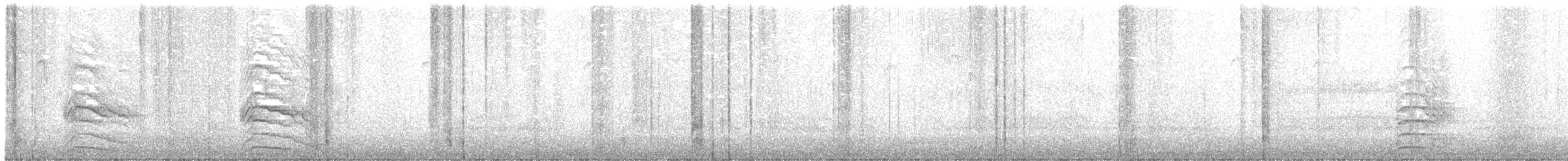 Rundschwanzhabicht - ML404178371