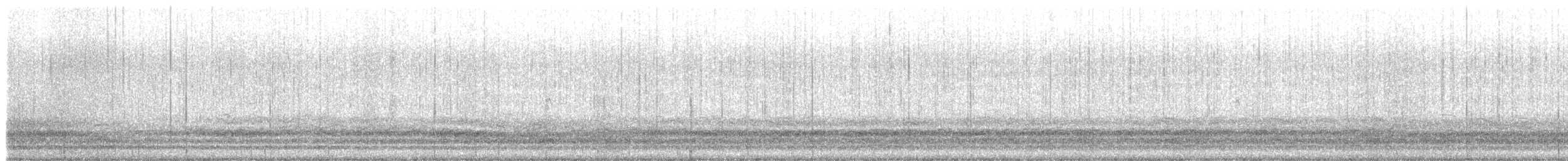 Cackling Goose - ML404179691