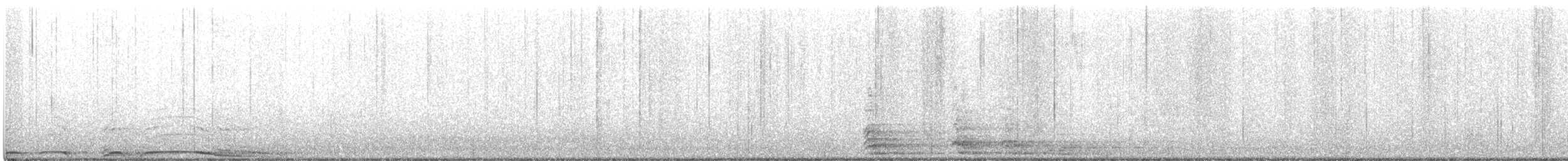 Barred Owl - ML404248941