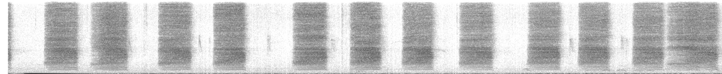 Steller's Jay - ML404292821