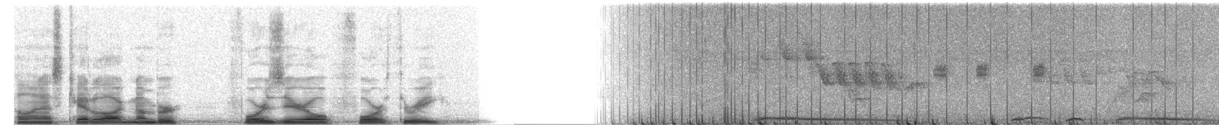 White-crowned Pigeon - ML4043