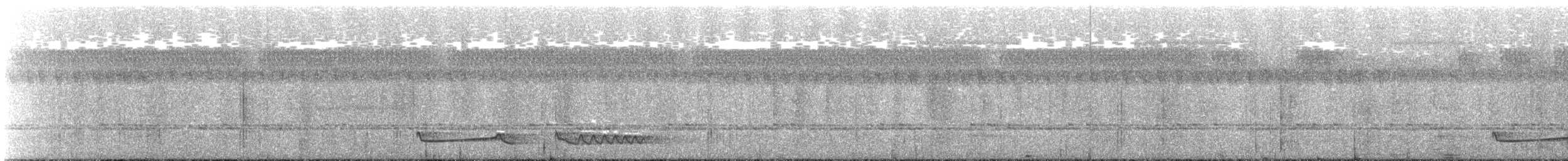 Ötücü Çobanaldatan (nigriscapularis) - ML404315681