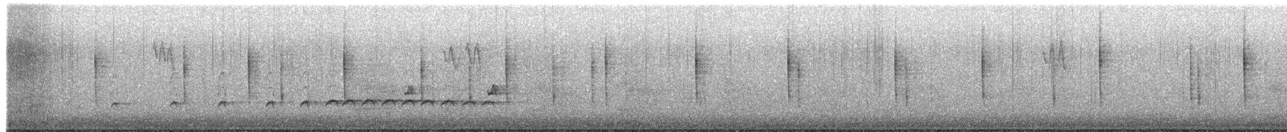 Wrentit - ML404331061