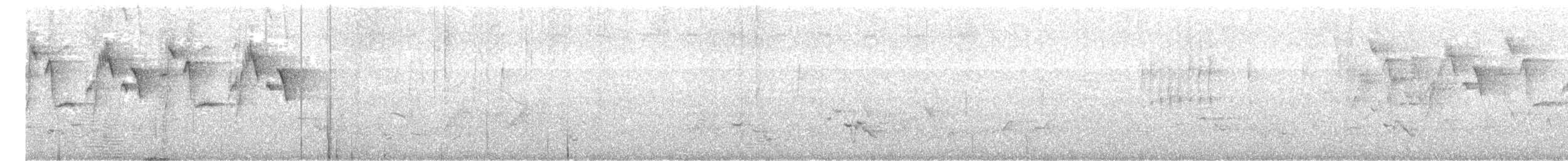 Атласная нектарница - ML404362151