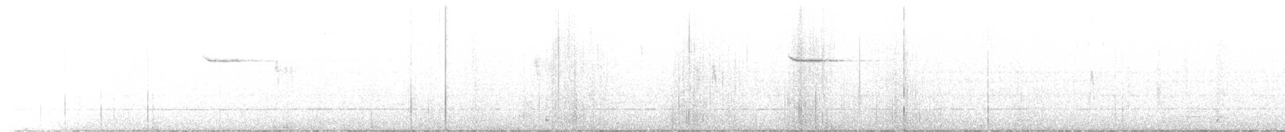 Белошапочная вилохвостка [группа frontalis] - ML404364871