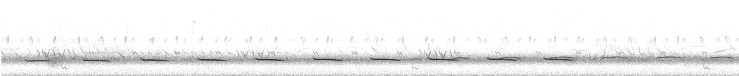 Brushland Tinamou - ML404399611