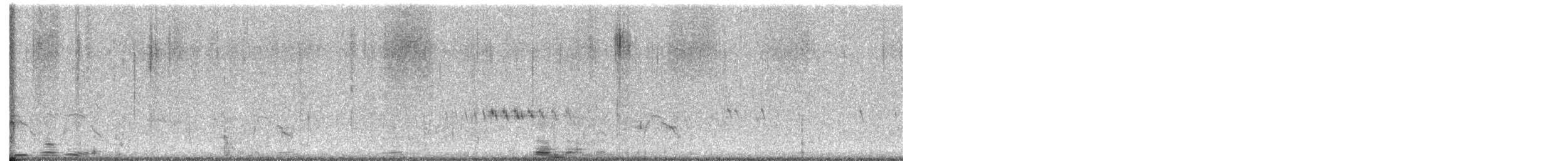 Canard siffleur - ML404402581