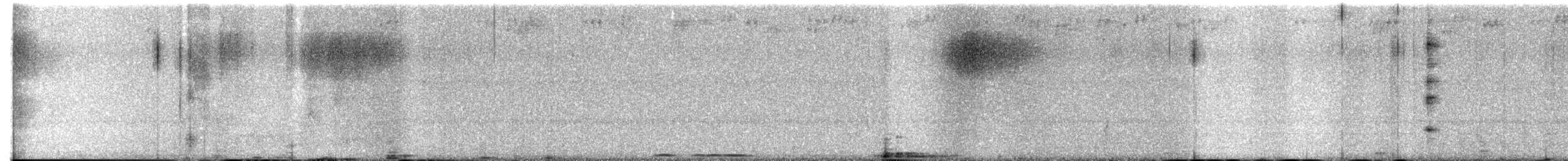 褐林鴞 - ML404404601