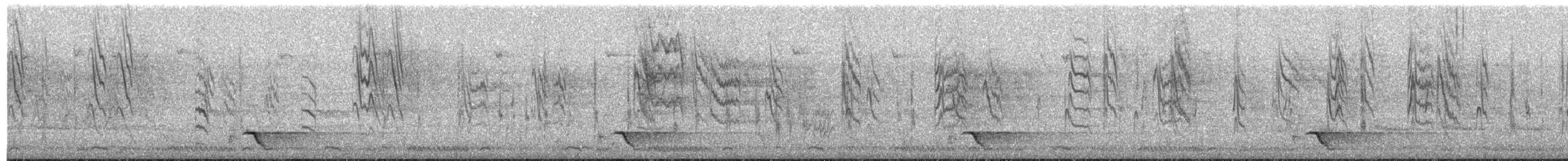 Cisticole murmure - ML404411601