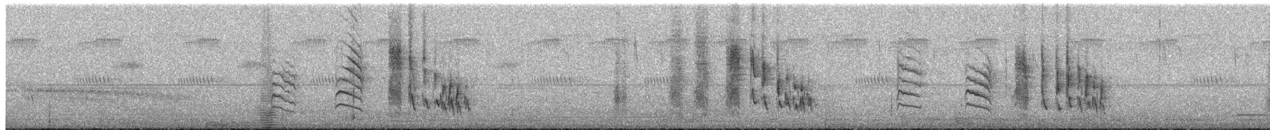 Cisticole murmure - ML404411611