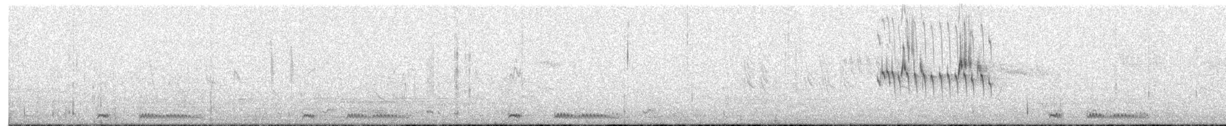 African Palm Swift - ML404412171