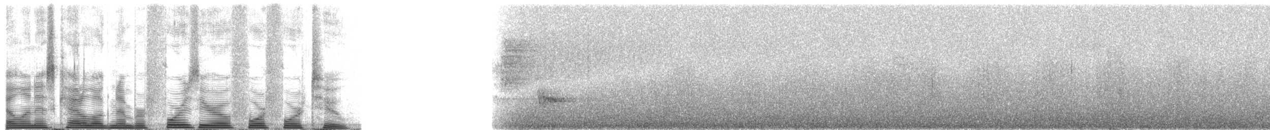 Moucherolle hirondelle (ferruginea/sclateri) - ML40442