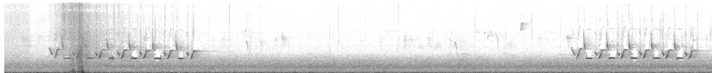 Каролинский крапивник - ML40445841