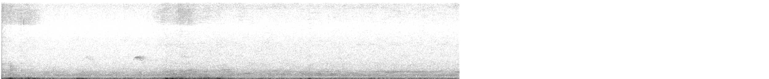 Evening Grosbeak (type 3) - ML404481621