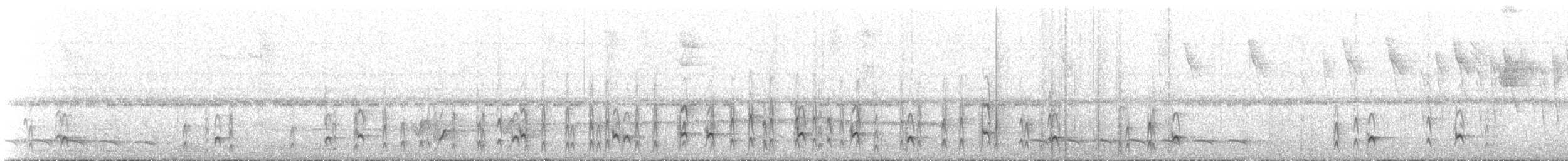 Shear-tailed Gray Tyrant - ML404506451