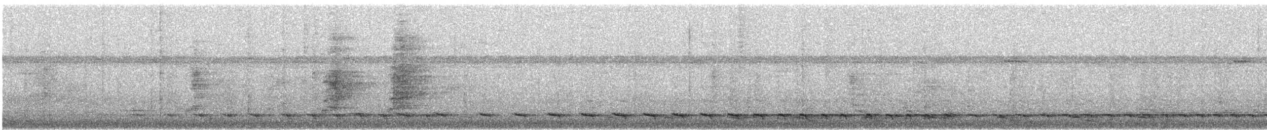 White-tailed Trogon - ML404602431