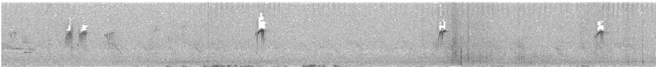 Синекрылый травяной попугайчик - ML404689521