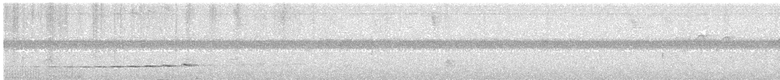 Grallaire de Natterer - ML404695911