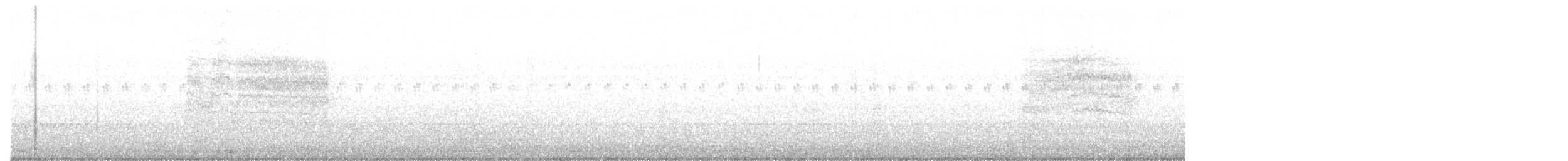 Black-tailed Gnatcatcher - ML404761321