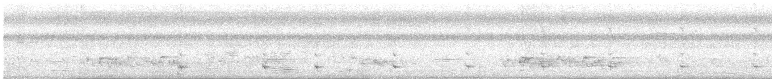 灰胸秧雞 - ML404877701