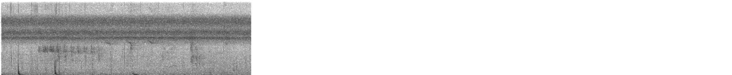 Колібрі-шаблекрил юкатанський (підвид excellens) - ML404961301