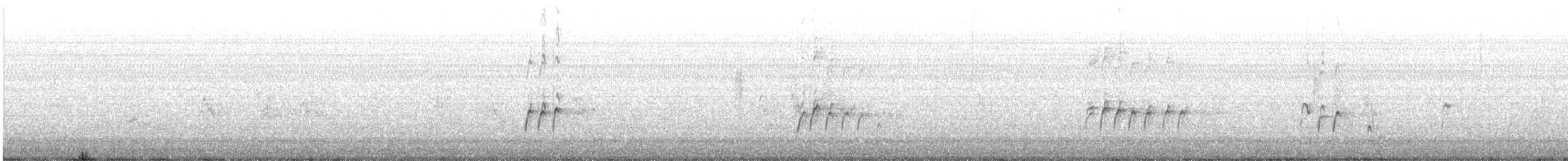 Krummschnabel-Spottdrossel - ML404979541