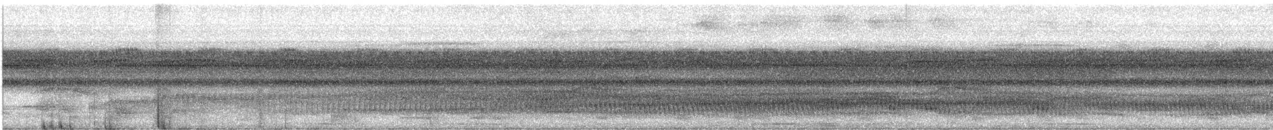 White-eared Jacamar - ML405136391