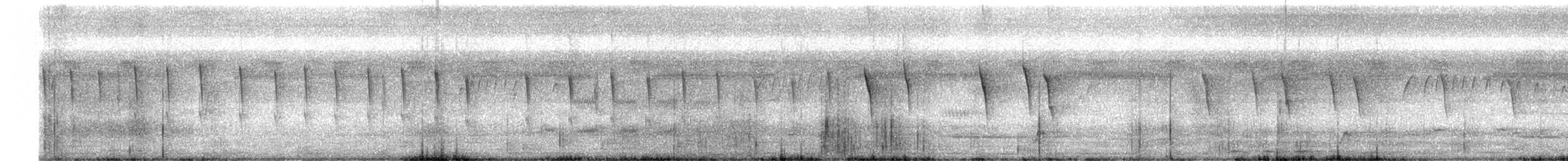 Stutzschwanzsegler - ML405145361