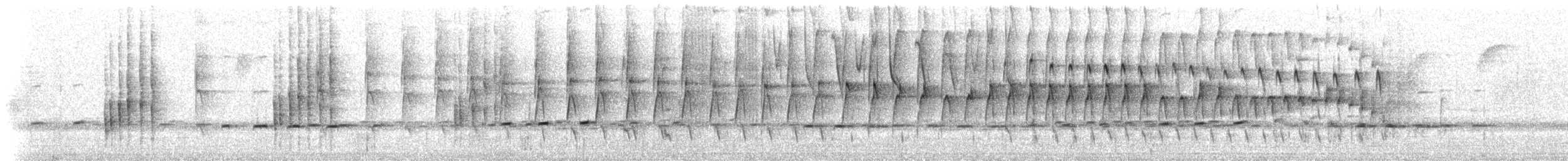 Santa Marta Bromelid Dikenkuyruğu - ML405162881