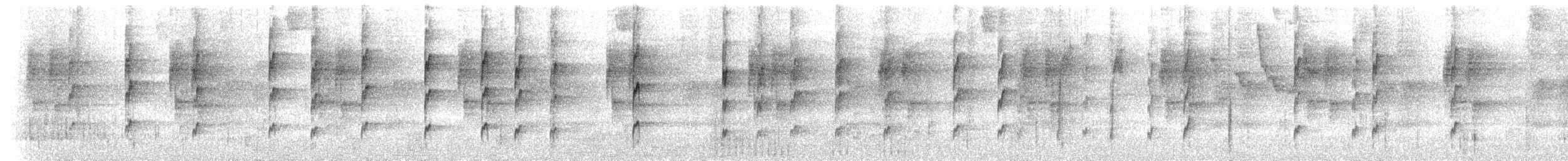 Weißzügel-Waldsänger - ML405188421