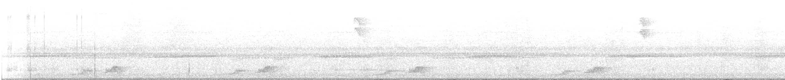 Pauraquenachtschwalbe - ML405231991