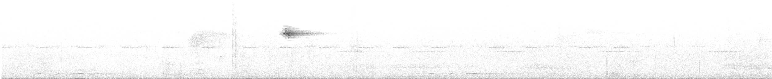 Weißfleckenkotinga - ML405239721