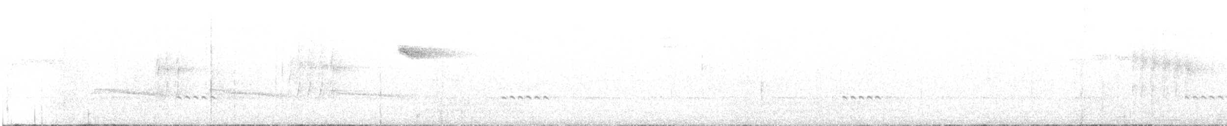 Weißfleckenkotinga - ML405239731