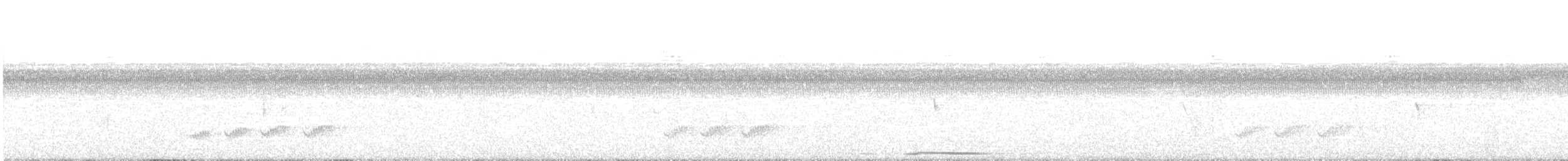 holub neotropický - ML405242191