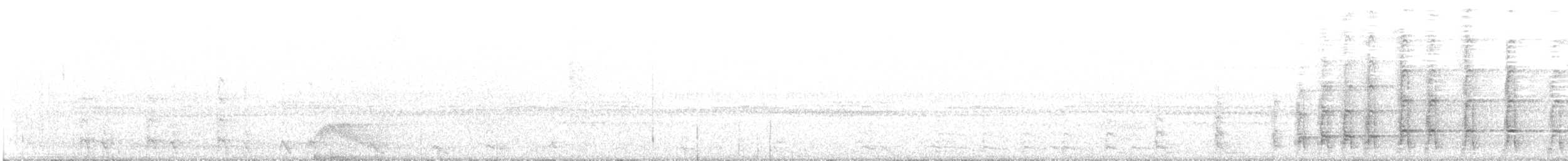 Band-tailed Guan - ML405247011