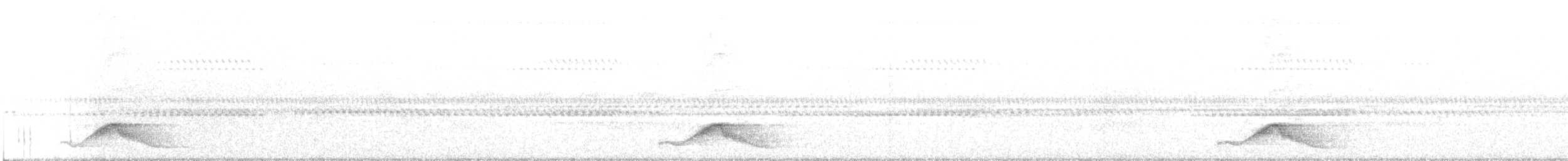 Pauraquenachtschwalbe - ML405247071