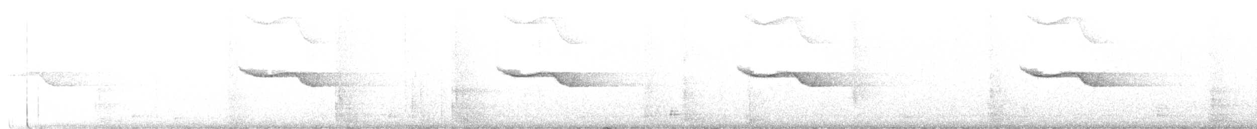 Breitspiegel-Nachtschwalbe - ML405284971
