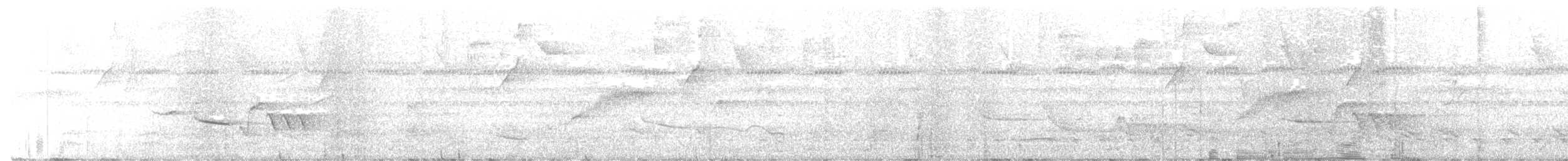 trogon guyanský - ML405289241
