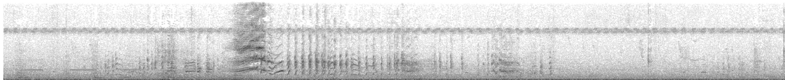 Чёрный погоныш - ML405311971