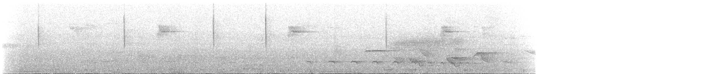 kolibřík černouchý - ML405365681