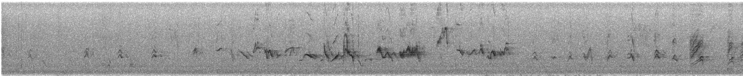 House Finch - ML405458001
