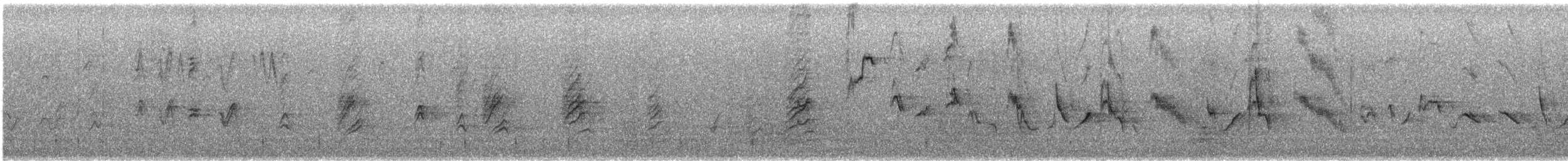 House Finch - ML405458131