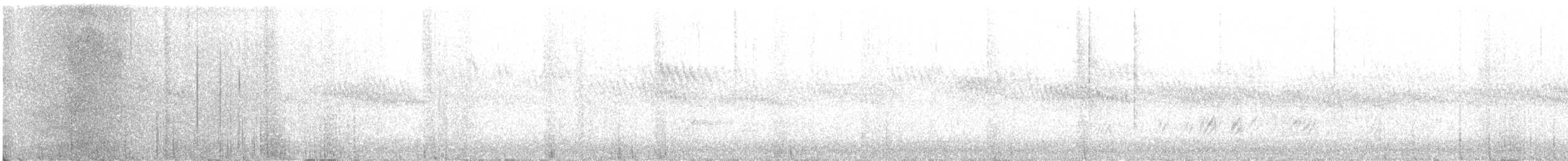 Омелюх звичайний - ML405482801