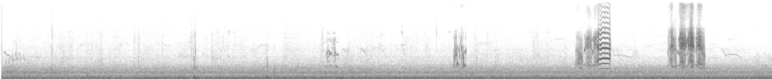 Серый сорокопут (pallidirostris) - ML405556561