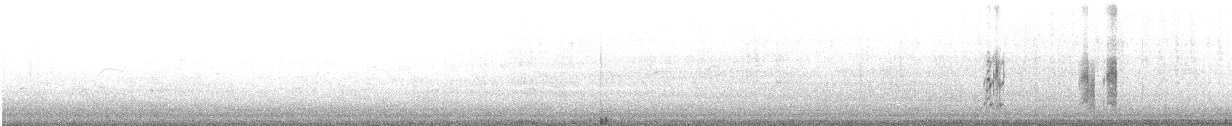 חנקן חיוור - ML405556591