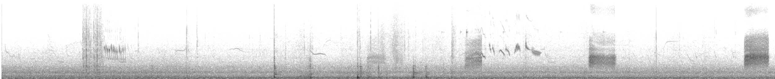Great Gray Shrike (Steppe) - ML405556631
