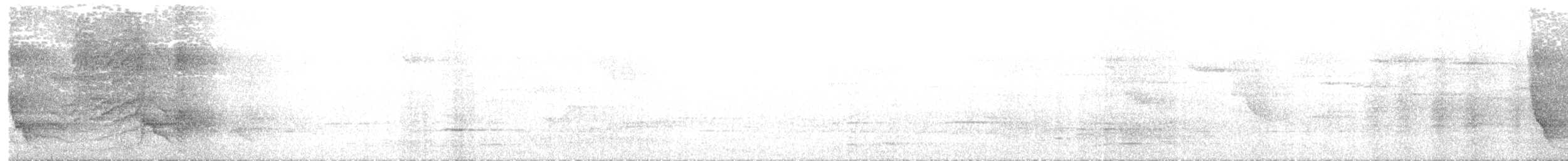 Tüpfellaubenvogel - ML405569811