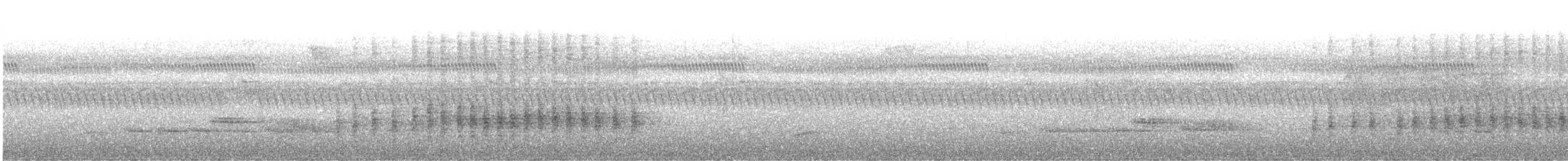 Black-and-white Triller (Northern) - ML405574991