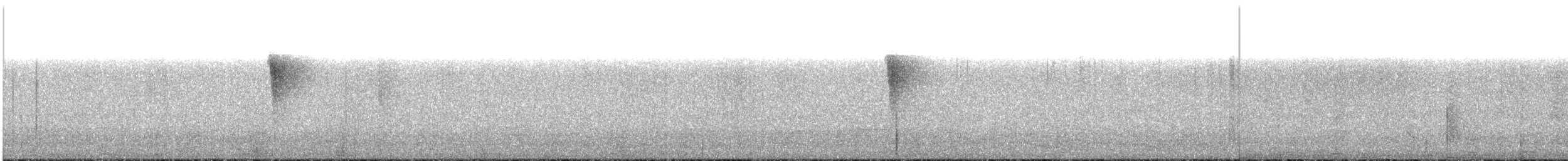 skjellstuttvinge (albiventer/pallidior) - ML405575281